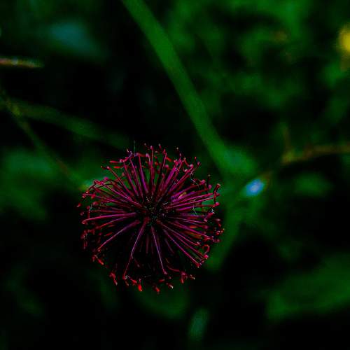 Photo #11265640