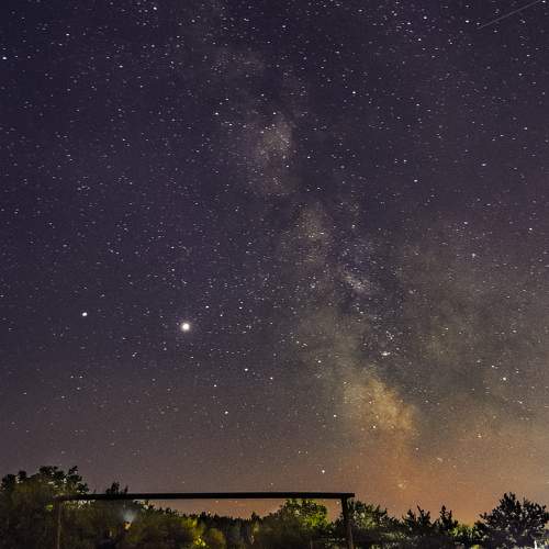 Photo #11265791