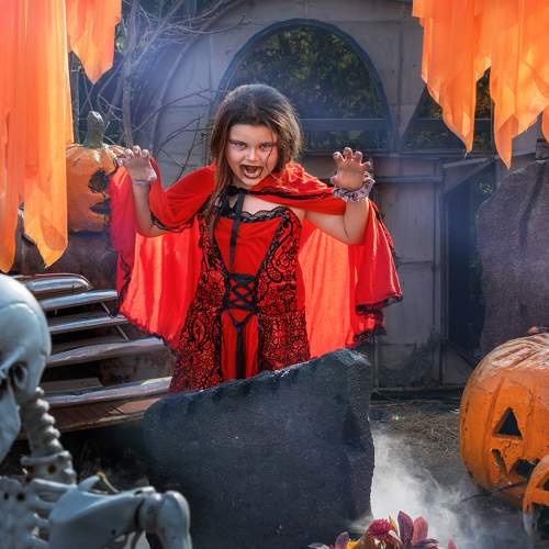 Photo #11266504