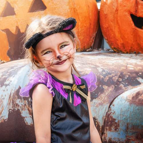 Photo #11266505