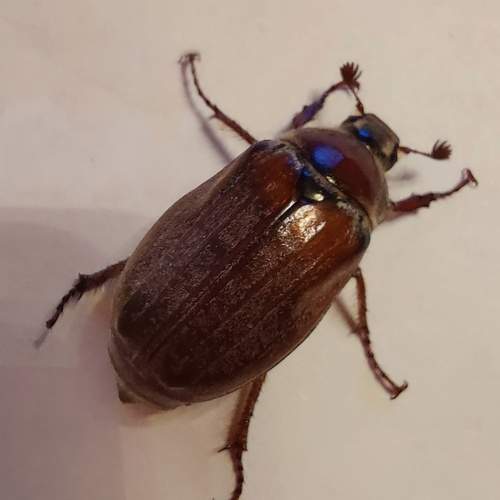 Photo #11266703