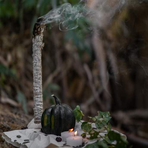 Photo #11267186
