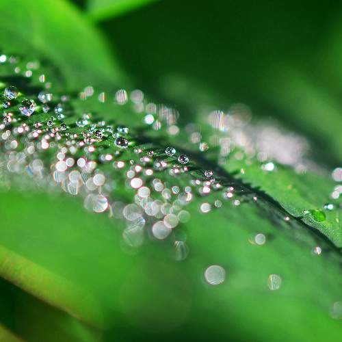 Photo #11267426