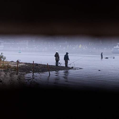 Photo #11267579