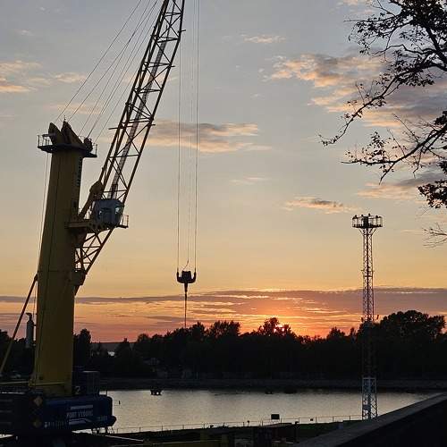 Photo #11267651