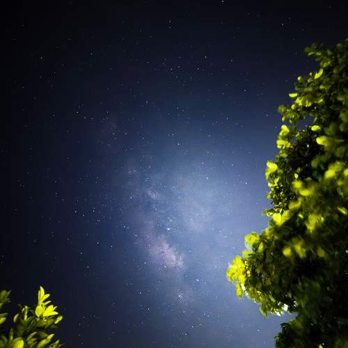 Photo #11268323