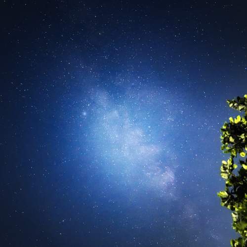 Photo #11268329