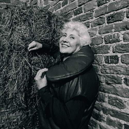 Photo #11268366