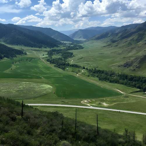 Photo #11268503