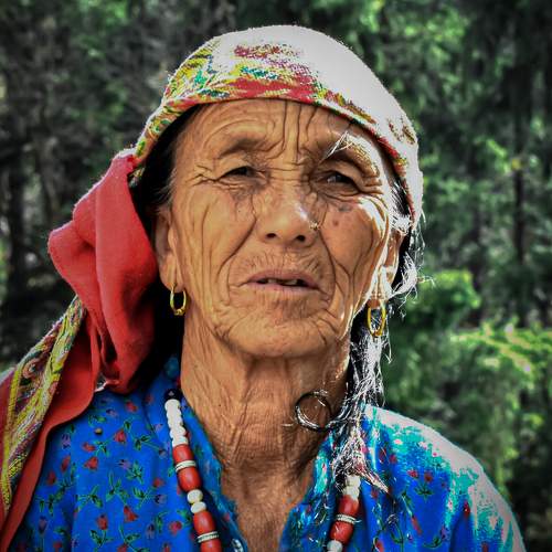 Photo #11268549