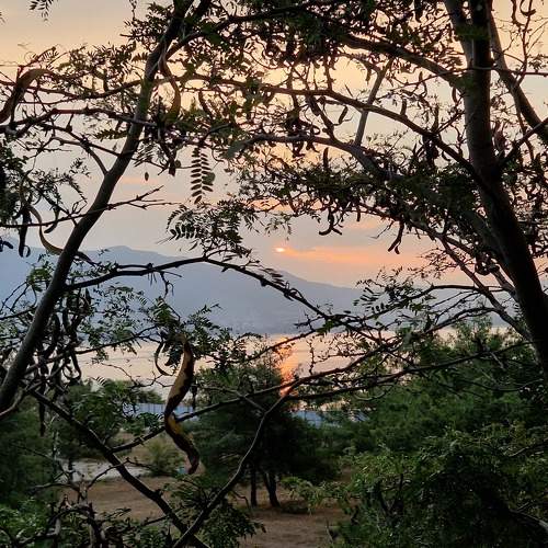 Photo #11268594
