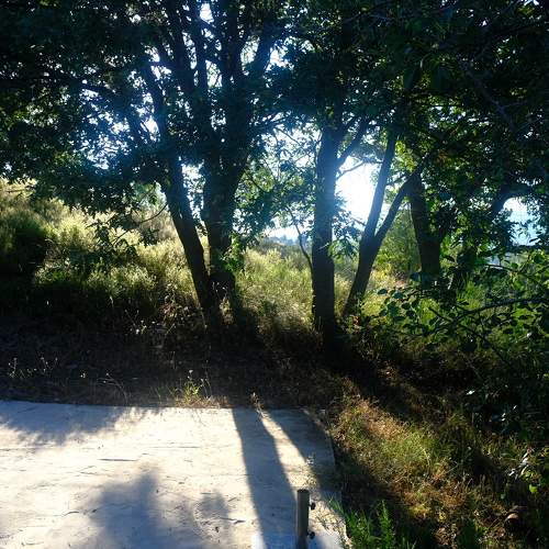 Photo #11269231