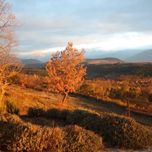 Photo #11269235