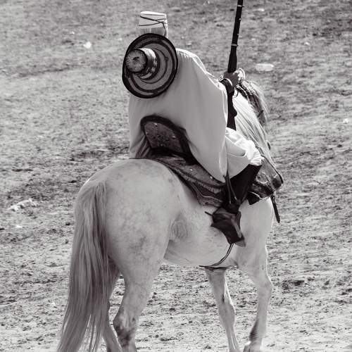 Photo #11269256