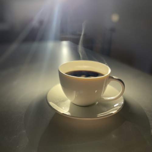 Photo #11269424