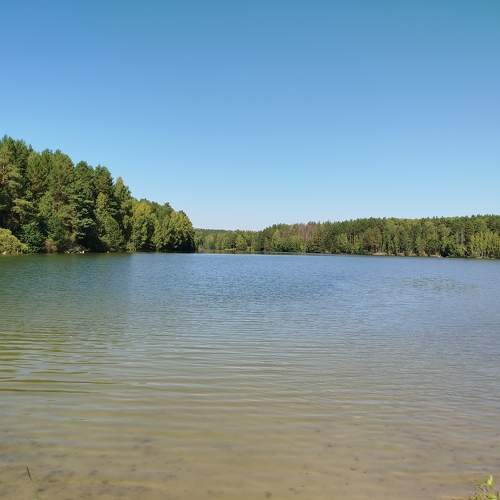 Photo #11269428