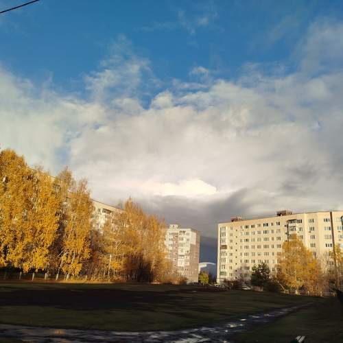 Photo #11269430