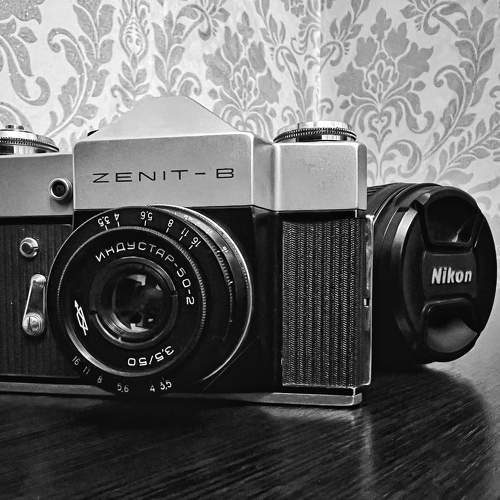 Photo #11269739