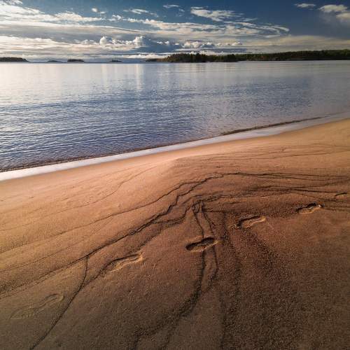 Photo #11269972