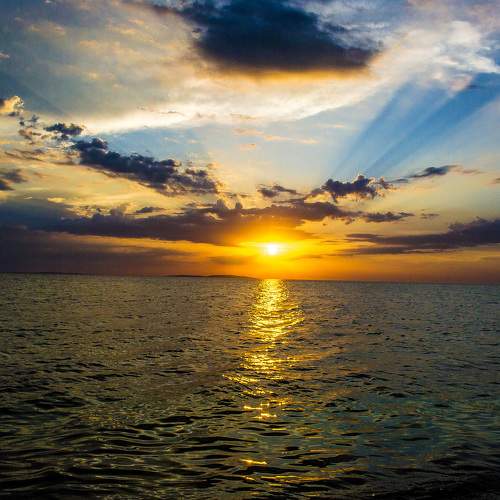 Photo #11270022