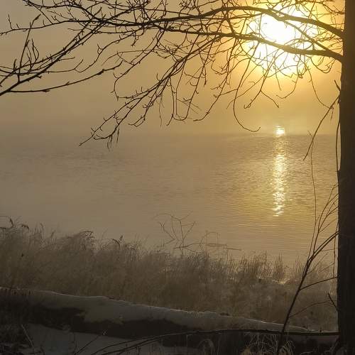 Photo #11270832