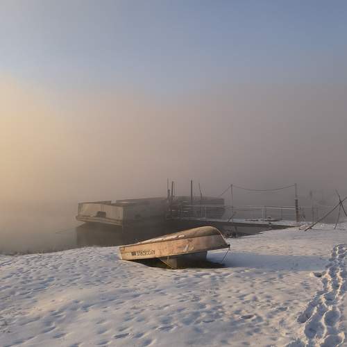 Photo #11270878