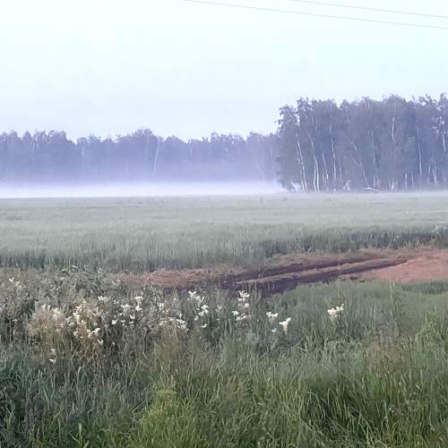 Photo #11270937