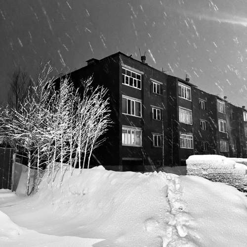 Photo #11270938