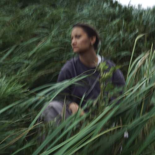 Photo #11270957