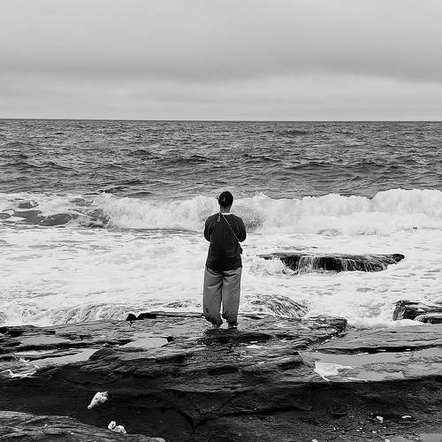 Photo #11270958