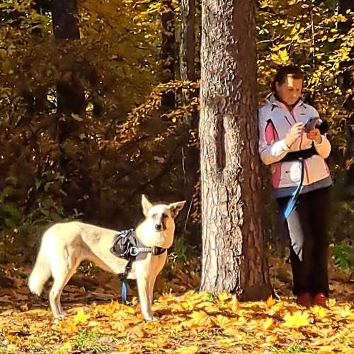 Photo #11271124