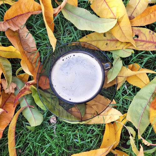 Осенний кофе/Autumn coffee
