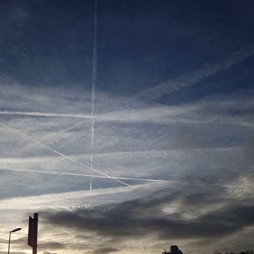 Photo #11271377