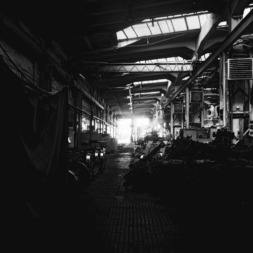 Photo #11271709