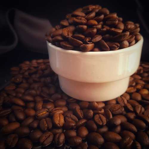 Photo #11271867