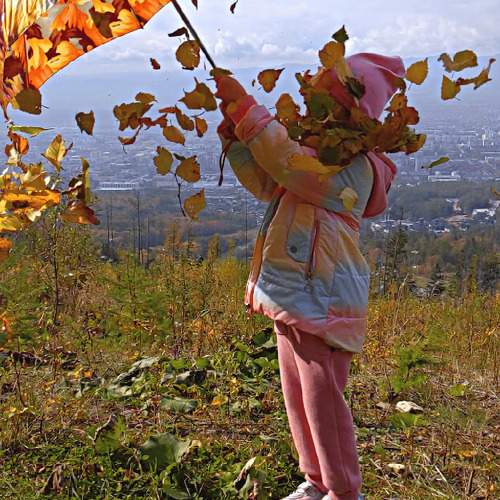 Photo #11271998