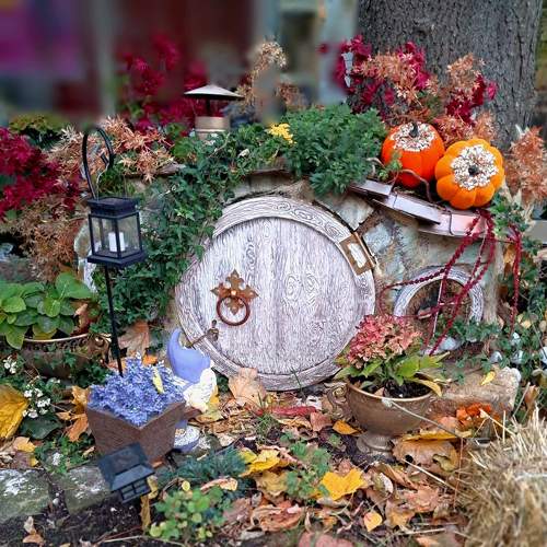 Photo #11272070