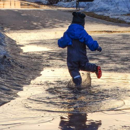 Photo #11272089