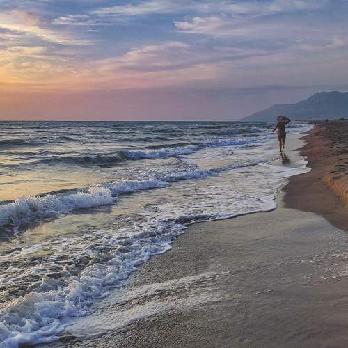 Photo #11273226