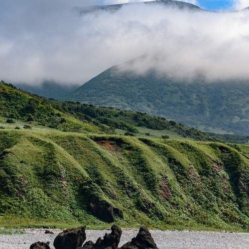 Photo #11273363