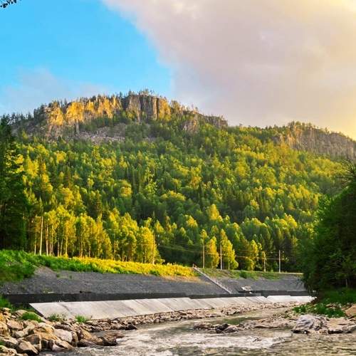 Photo #11273518