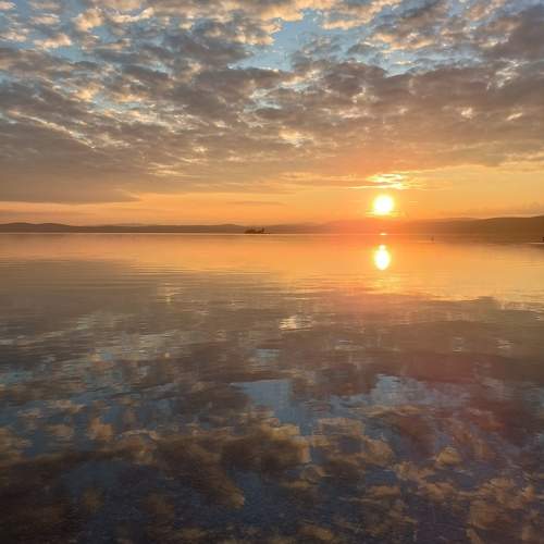 Photo #11273553
