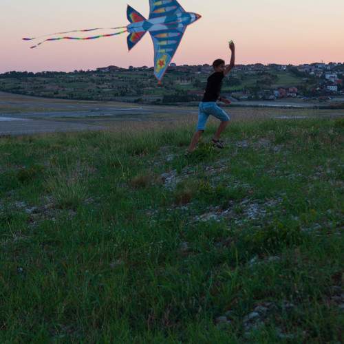 Photo #11273987