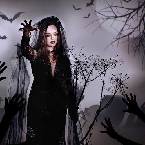 Photo #11274530