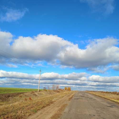Photo #11274597