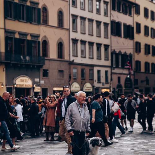 Photo #11274671