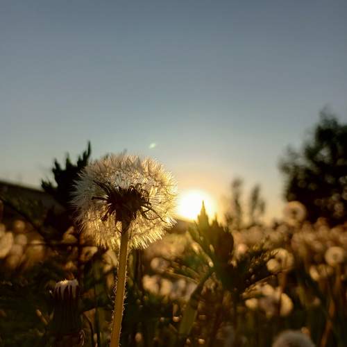 Photo #11274856