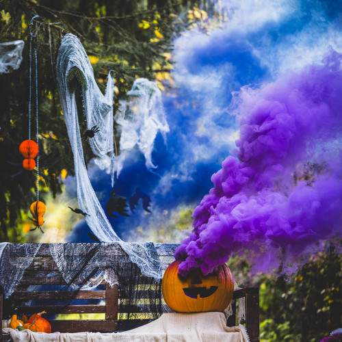 Photo #11275176