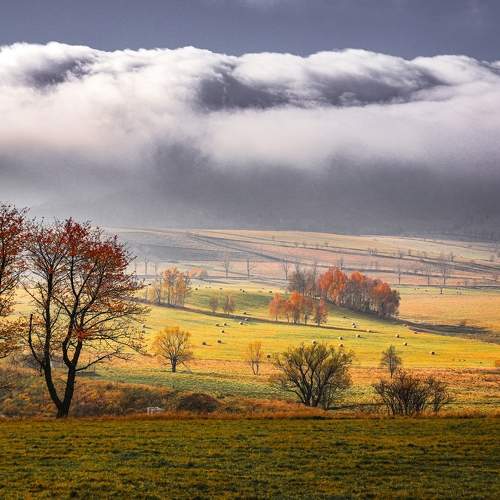 Photo #11275273