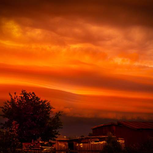 Photo #11276048
